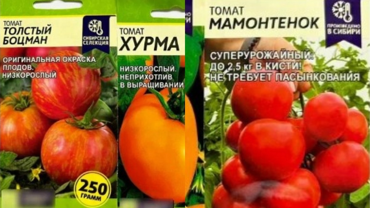 Как выбрать проверенные сорта детерминантных томатов на три года вперед