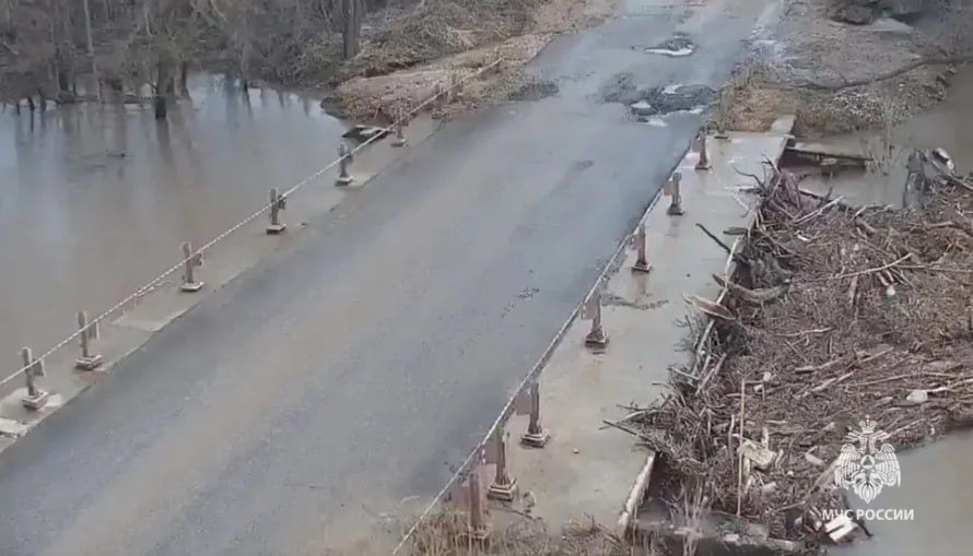5 ������ �� ���� ����������� ����������� ���� � ������� ������������� ������������ ������