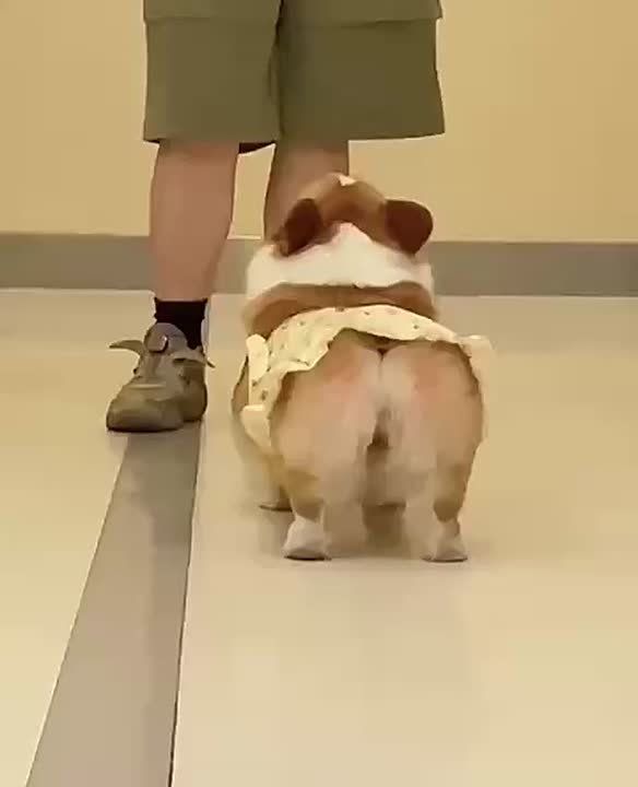 ���� ��� ��������� ���� �� ������, ��� � ��� ����� �� ������ ����, �� � ��� ��� ����������� ������