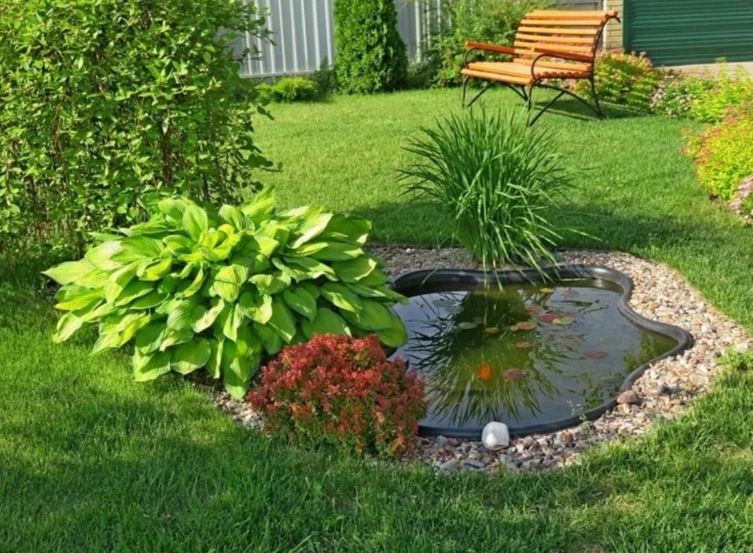 Цветочные захватчики: какие растения лучше избежать в вашем саду