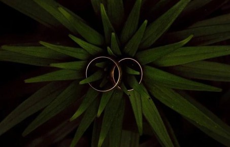 ����� �������� � ���� �������������� ���� � �������, � ���, ��������, �������� ������������?