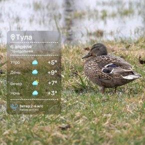 Доброе утро. Понедельник — день тяжелый, поэтому даже погода сегодня отказывается быть приятной