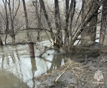 Трагедия на Упе: водолазы МЧС достали из воды в Пролетарском округе тело 52-летнего мужчины