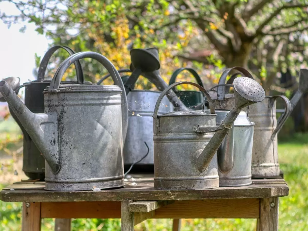 Как ржавчина превращается в искусство: старый садовый инвентарь в новом свете