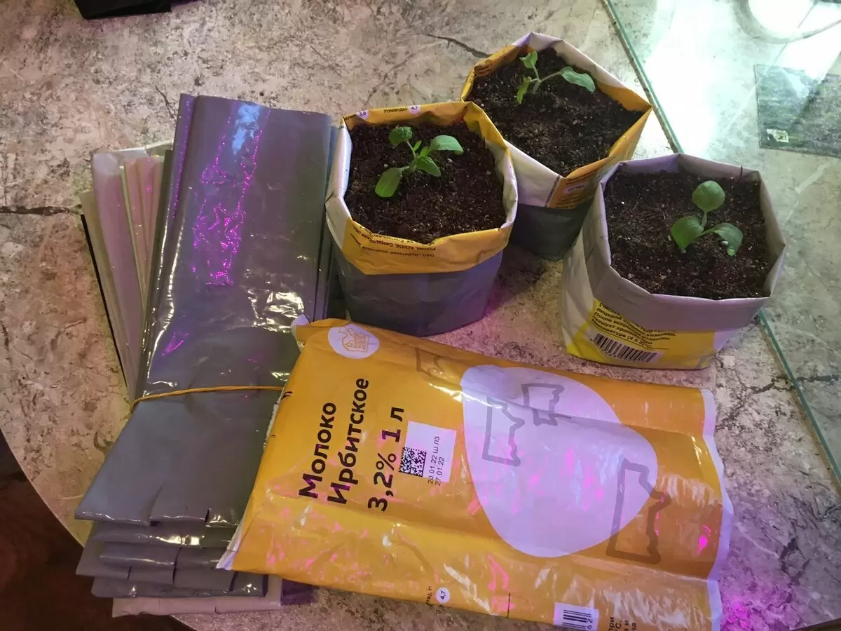 Самодельные пакеты для рассады: преимущества, которые покорят садоводов