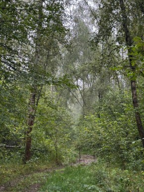 ������� ��������� 2025 ����: ���� ������ ���������