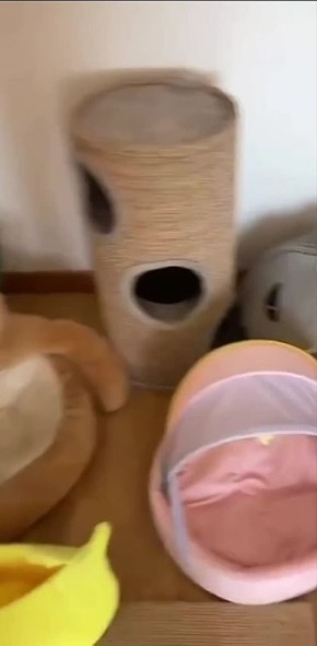 ���-���� ������� ������� ����� ���� �� ��������