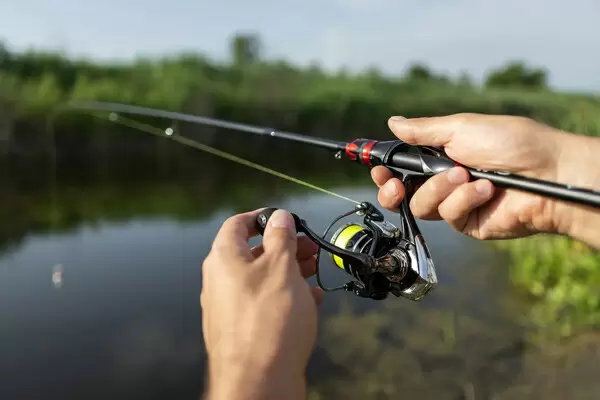 Правила обращения с выловленной рыбой: советы от экспертов