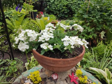 ���� �������� �����: ��� ������������ ������� ����������� ���