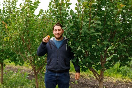 ��� ������ �������� �� ���������� ����: ������� ��������� ������