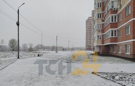 ���� ������� ������ ����� ���������