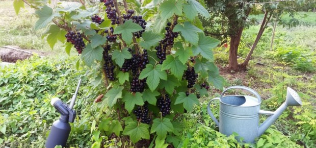 ��� ������� ���������� ����� ������� ���� ��������� ������� � �������