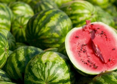 ������� ������� �������� �������: ��� ������������ ������ ������ � ������