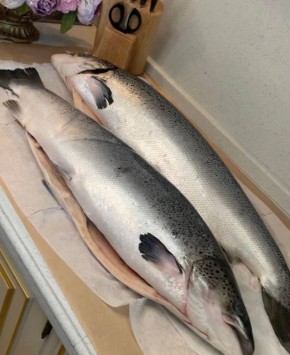 ��� ��������� �����: ��������� ��� ��� �������� �����