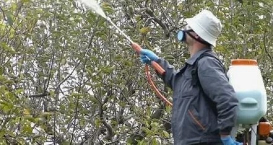 ����� � ����: ������� ��������� ����� �� ���������� � ���������� � ����