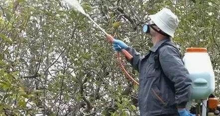 Осень в саду: секреты успешного ухода за растениями и подготовка к зиме