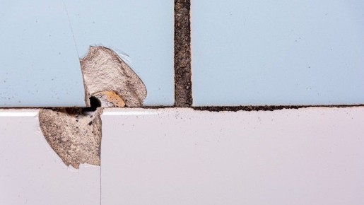 ��� ������ ��������� ����� �� ������: 8 ������ ������� �����������