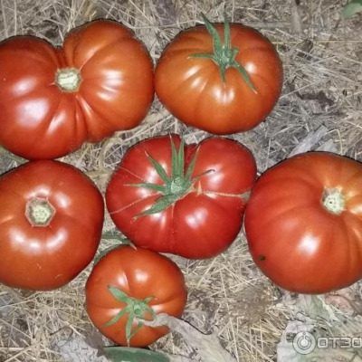 ����� ��������: ��� �������� ��������� ������ � ���� ������