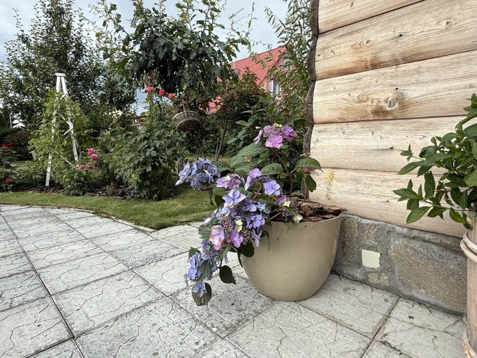 ��� ���������� ��������� ��������� ������� � �����