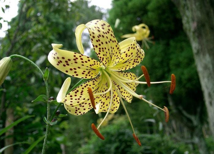 ����� �� ������: ������������� ���� � ������� ������