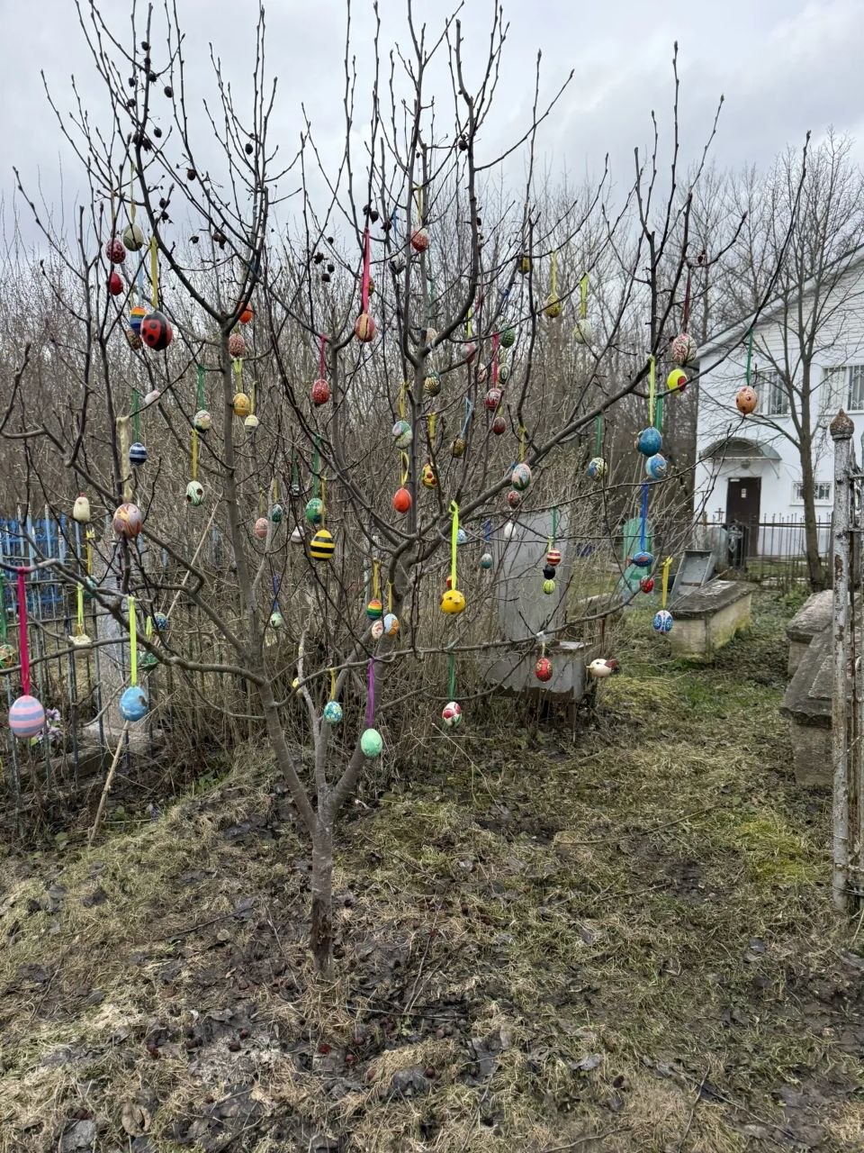 Ещё немного фото Ещё немного фото