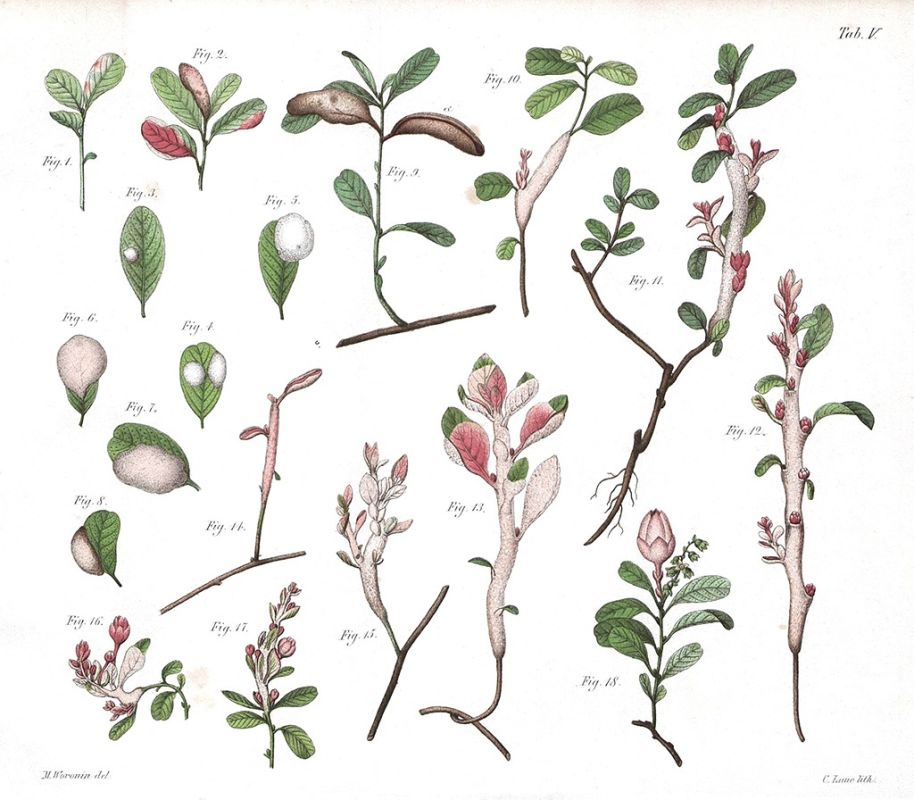 ������� ������� ������� �������� � ��������