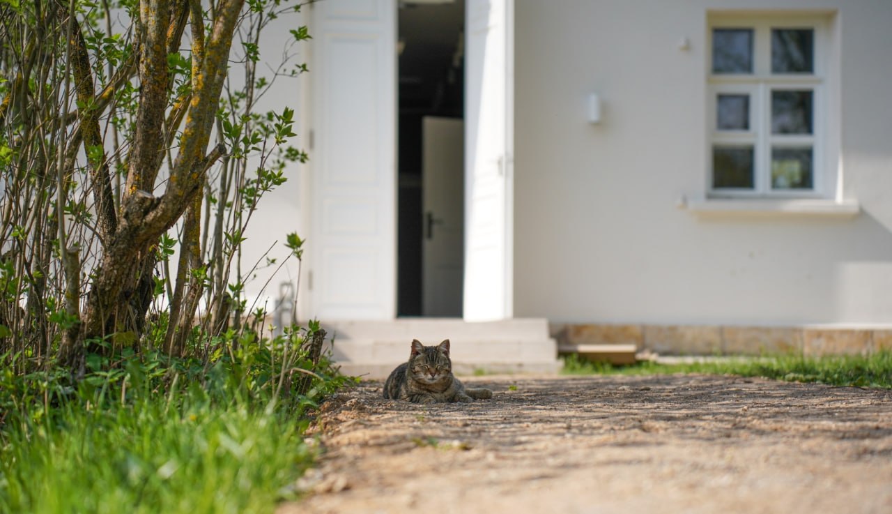 Апрельское тепло возвращается в Центральную Россию