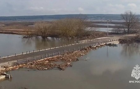 В Тульской области число подтопленных мостов сократилось до четырех