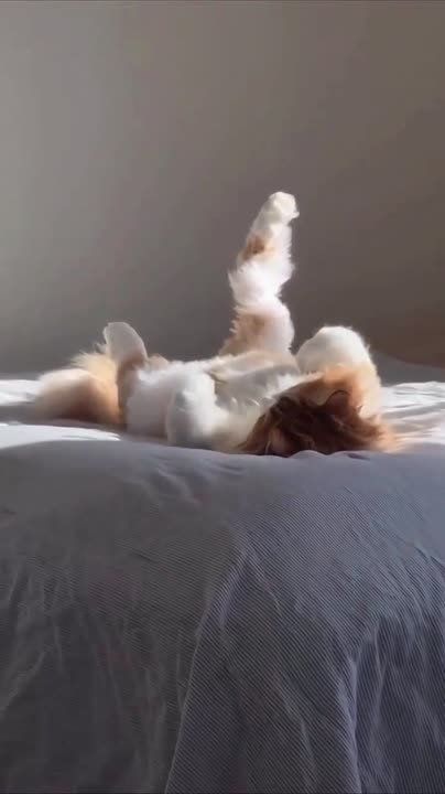 �������� �����. ������ ���� ���� ���24 | �������� ������� | �� � ���