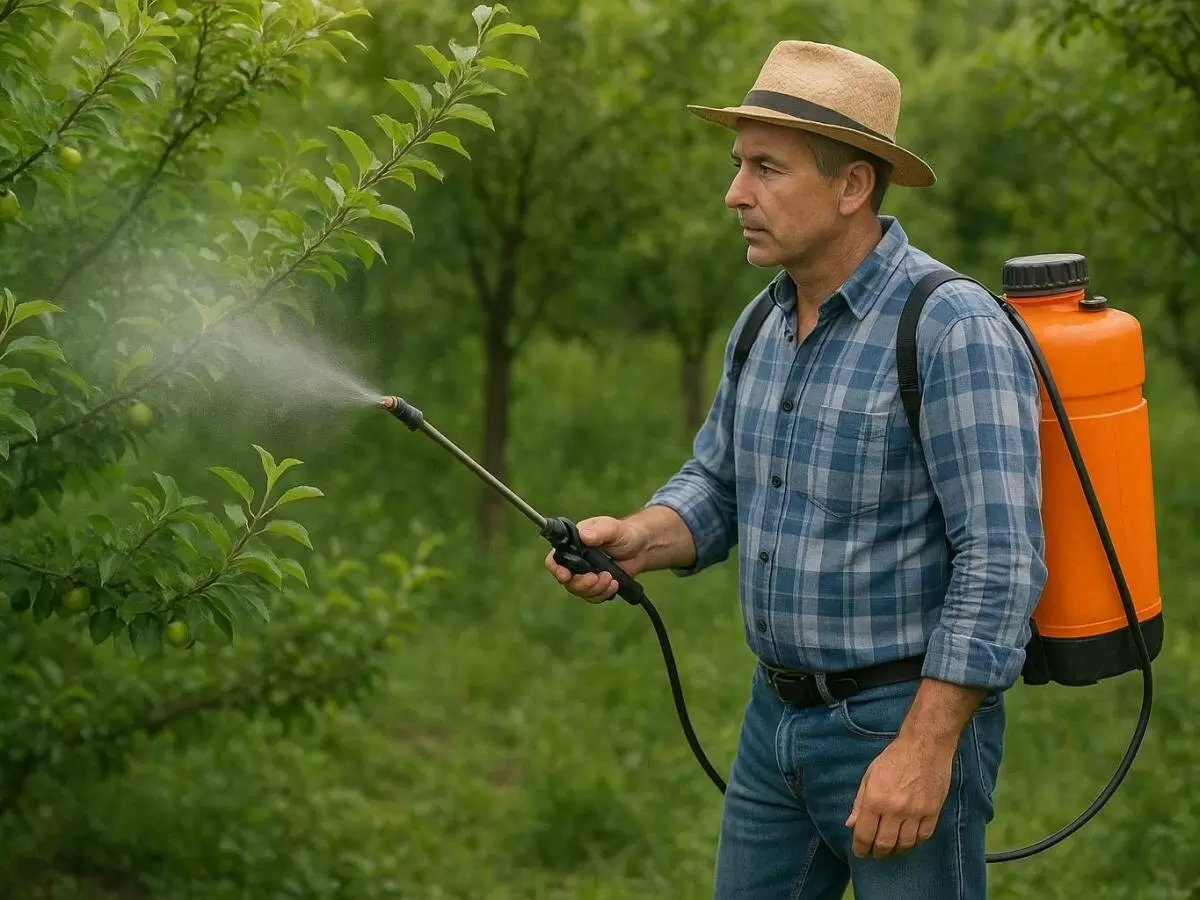 Почему осень — время активных действий в саду