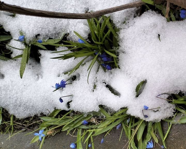 ��� ��������� ����������� �������� � ����� � �����