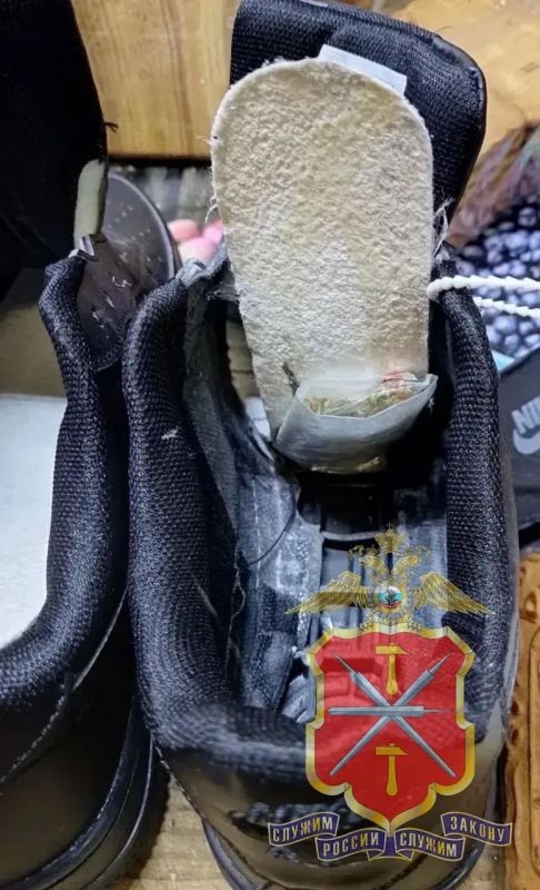 ����� ����� �������� �������� ���� � �������� � 4,6 ������ ��������� ������