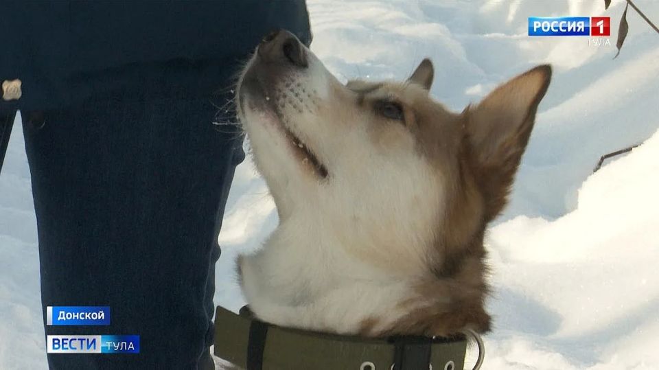 ����� ������ ��������� ��������� ��������� ��� ��������� �� 550 ������ � ���