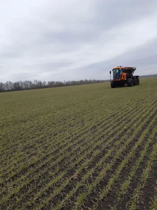 ������� ������: �� ������������ ����������� ��������� �������� ���������� � �������� ������� �������