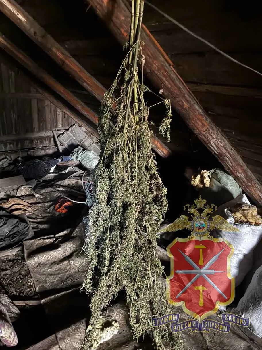 Тульские полицейские изъяли у жителя Донского порядка 1,5 кг взрывчатых веществ и 3 кг марихуаны Тульские полицейские изъяли у жителя Донского порядка 1,5 кг взрывчатых веществ и 3 кг марихуаны