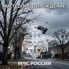 #Метеопредупреждение. В ближайшие 1-3 часа с сохранением до конца суток 14 апреля на территории Тульской области местами ожидается усиление северо-восточного ветра порывами 12-17 м/с (по данным Тульского центра по...