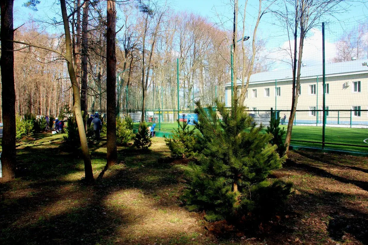 В Туле в честь годовщины образования общества «Динамо» заложена сосновая аллея В Туле в честь годовщины образования общества «Динамо» заложена сосновая аллея