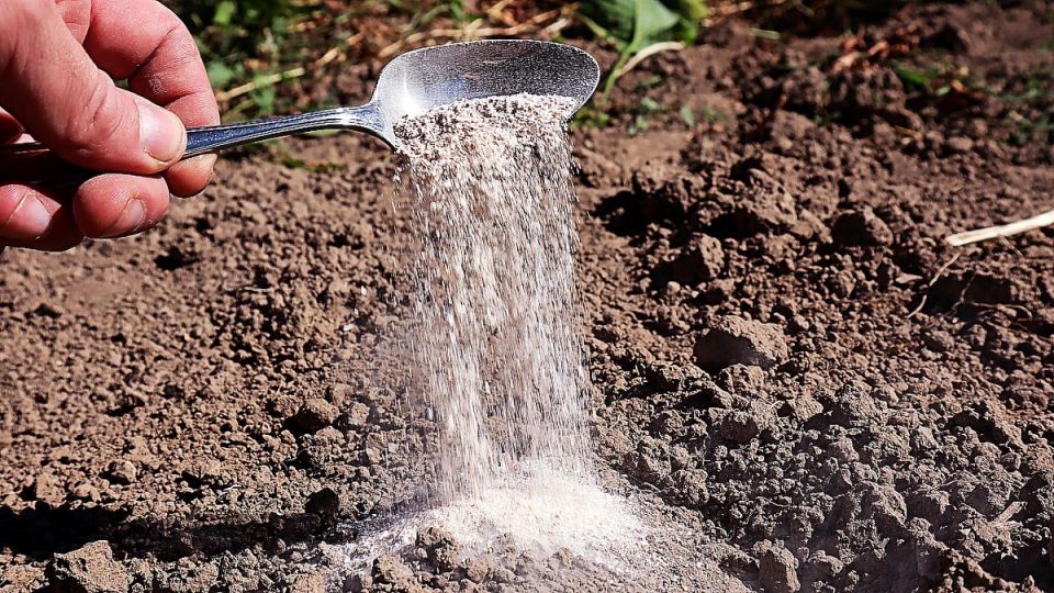 ����� �� �������: ������� �������� ��������� ��� ������