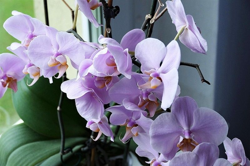 ����������� ������� �� ���������