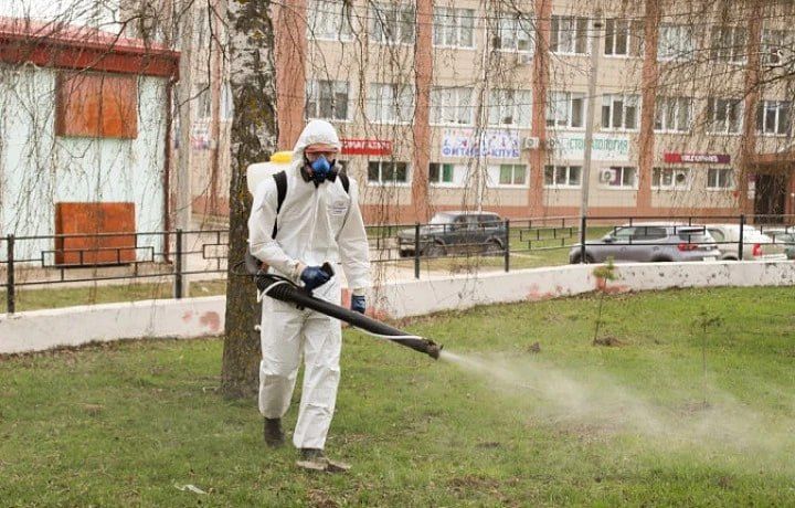 � ���� �� ������ ���������� ����� 160 �� ����������