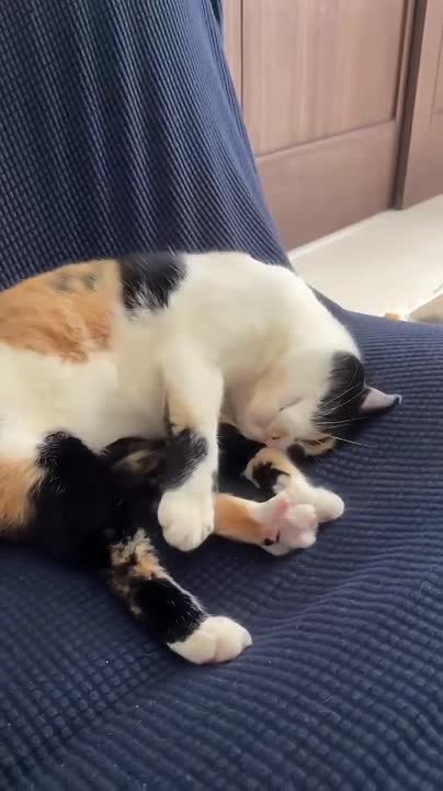 Тот самый момент, когда ты проснулся, но потом все равно клонит в сон