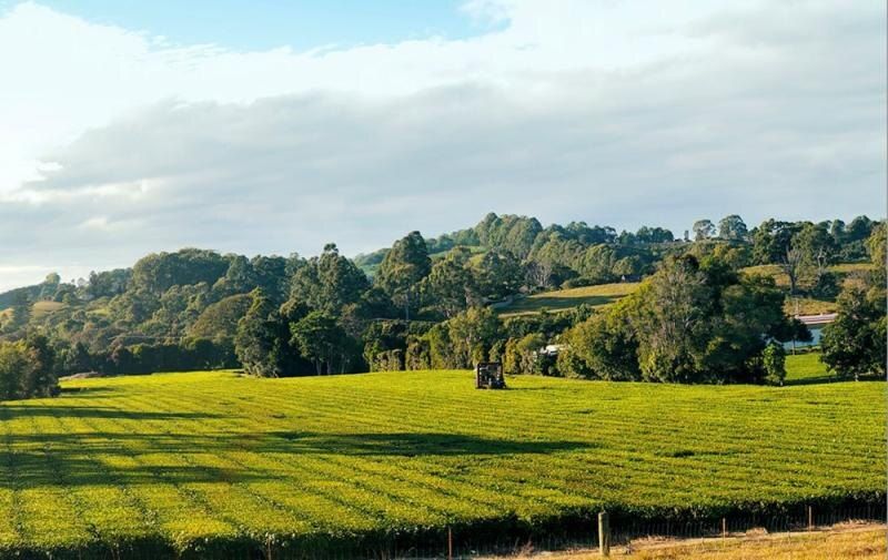 ������������� ���: �� ����������������� ��������� �� ���������� �������