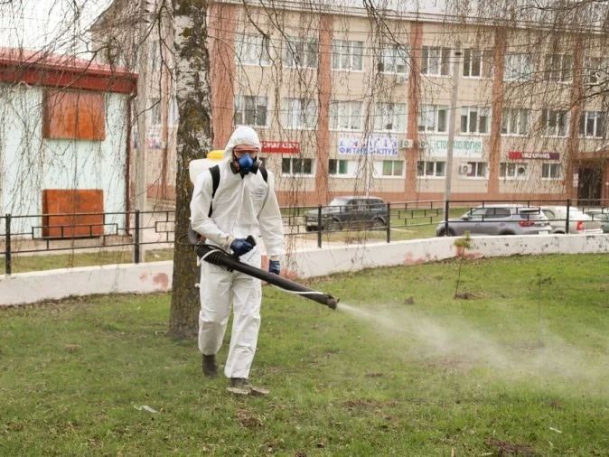 ���� ��������: ����������� ��������� � ���� � ���� ���� �������� �� ������� ����� 160 ��