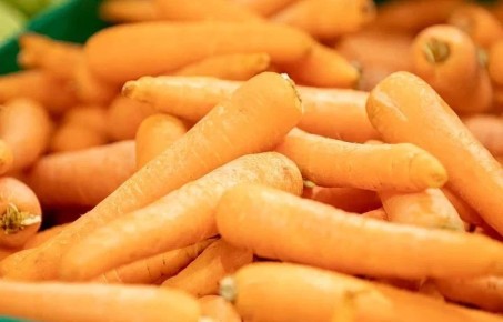 �������, ���� � ������� ������ ����� ���������� � �������� ������� � 2026 ����