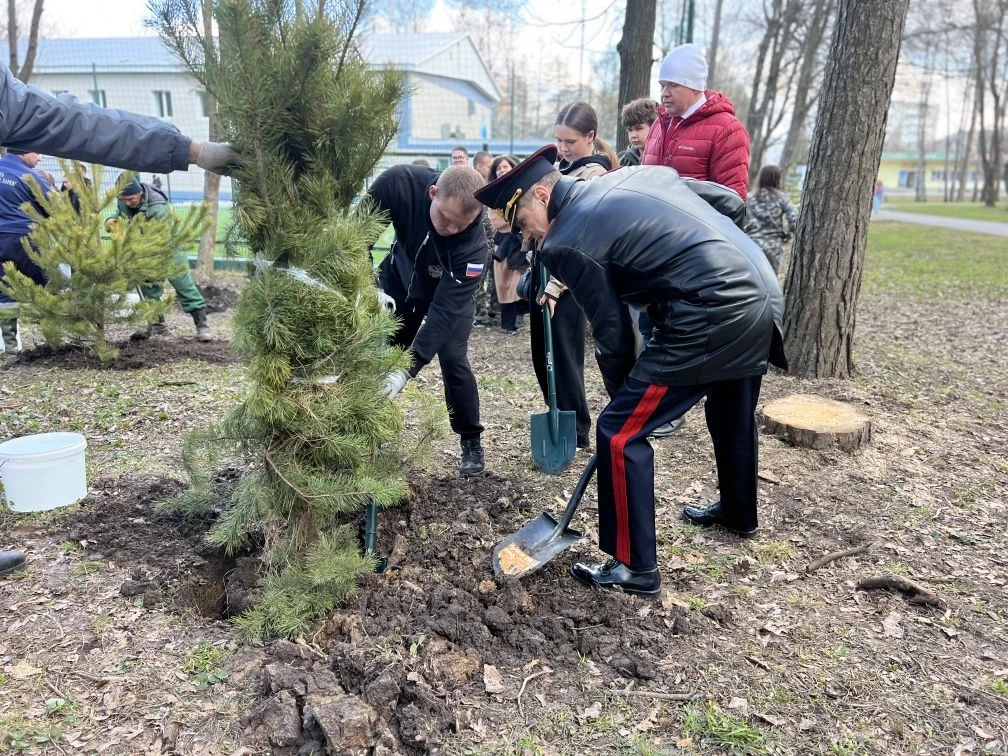 В Туле в честь годовщины образования общества «Динамо» заложена сосновая аллея В Туле в честь годовщины образования общества «Динамо» заложена сосновая аллея