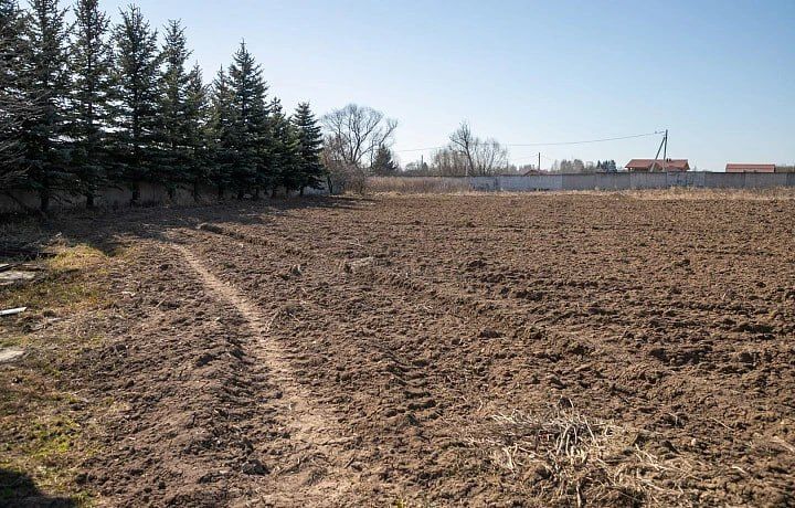 ����������������� ��������� �������� ������� �������� 10,6 ��� ���������� ������