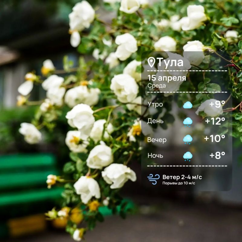 ������ ����. ���������� ������ ������ �������� �������, ������� �� ����� ������ ����� ���� �����