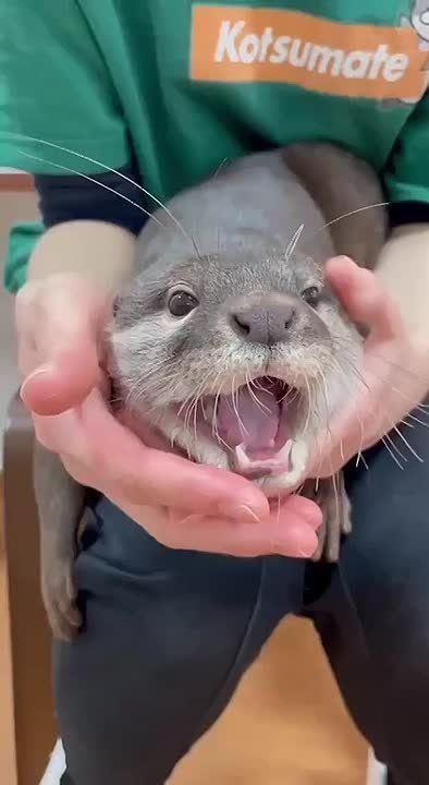 ��� ���� ������ � ���� ������?