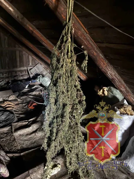 Тульские полицейские изъяли у жителя Донского порядка 1,5 кг взрывчатых веществ и 3 кг марихуаны Тульские полицейские изъяли у жителя Донского порядка 1,5 кг взрывчатых веществ и 3 кг марихуаны