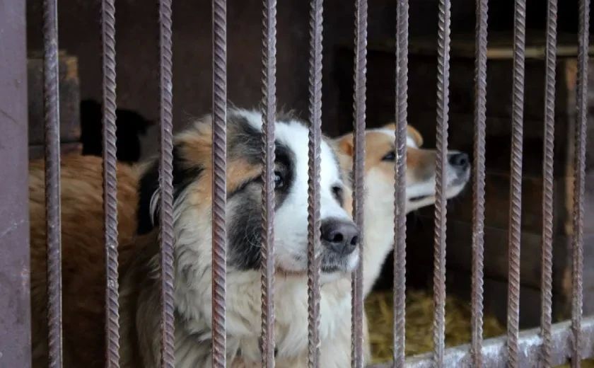 ������ ����� ������������ ����� � ����� �� ������ ������